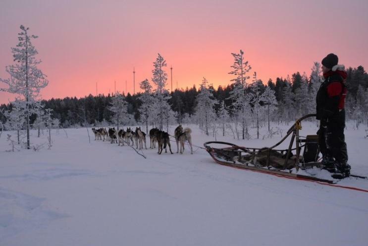 Apartment Suutarintie - Authentic Lappish Experience By The River Рованиеми Экстерьер фото
